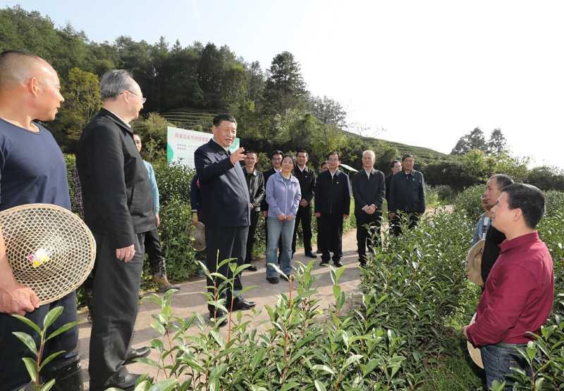 3月22日至25日，中共中央總書記、國家主席、中央軍委主席習(xí)近平在福建考察。這是22日下午，習(xí)近平在南平武夷山市星村鎮(zhèn)燕子窠生態(tài)茶園，同科技特派員、茶農(nóng)親切交流，了解當(dāng)?shù)夭璁a(chǎn)業(yè)發(fā)展情況。新華社記者 鞠鵬 攝
