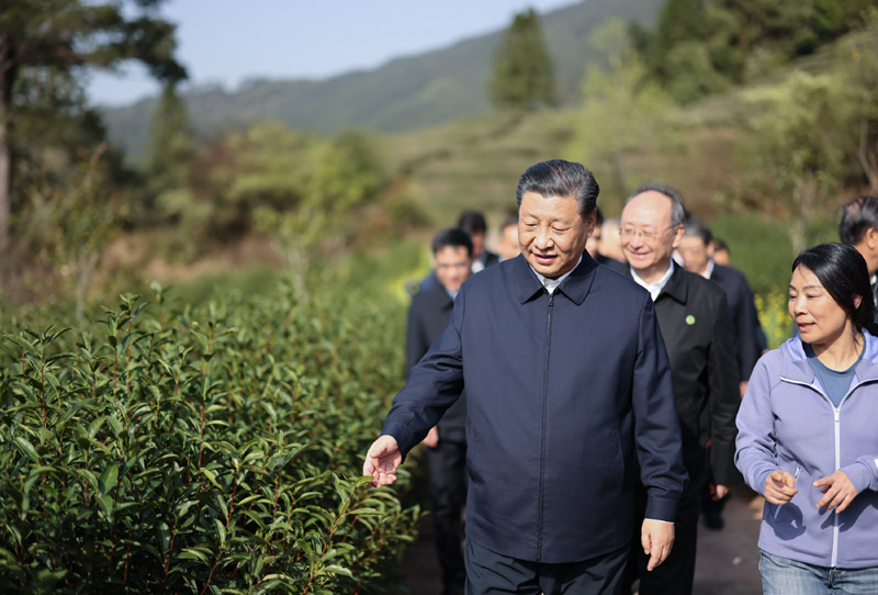 3月22日至25日，中共中央總書記、國家主席、中央軍委主席習(xí)近平在福建考察。這是22日下午，習(xí)近平在南平武夷山市星村鎮(zhèn)燕子窠生態(tài)茶園，察看春茶長勢(shì)，了解當(dāng)?shù)夭璁a(chǎn)業(yè)發(fā)展情況。新華社記者 王曄 攝